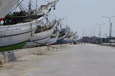 IMGP1178.jpg