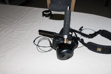 IMG_2503_LR5.JPG