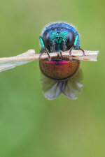 20140726-IMG_6955-b.jpg
