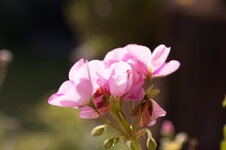 Test-1610.jpg