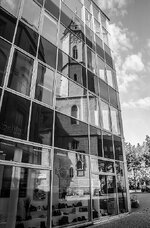 DSC_1578 (x800).jpg DSC_1578 (x800).jpg