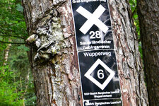 Testbild_ISO3200_crop.jpg