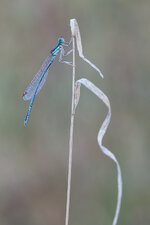 20140831-IMG_1107-b.jpg
