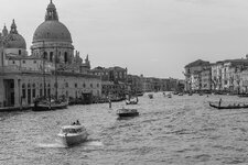 IMG_4682.jpg
