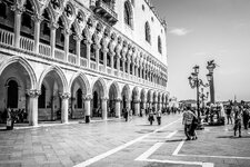 IMG_4723.jpg