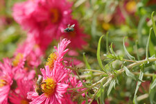 GH4-4KPhoto-6.jpg