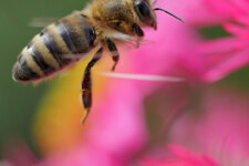GH4-4KPhoto-7-2.jpg
