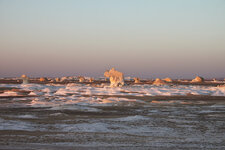 IMG_1253.JPG