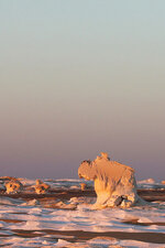 IMG_1253b.jpg
