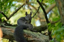 comp_DSC_8591.jpg