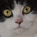 DSCF1518_crop_fc.jpg