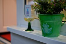 DSC_7786.jpg