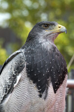 DSLR_KHA_3461.JPG