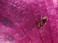 20140827_E3_C8279193_Kopie_1_c_.jpg