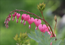 IMG_1119_DSLR.jpg