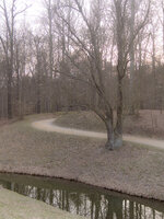 20130416-IMGP2154.JPG