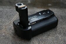 cW46A1981.jpg