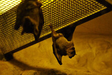 BILD7996_C1.jpg