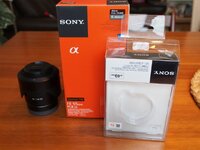 FE 55mm1.jpg