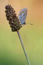 20140923-IMG_2408-b.jpg