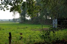 IMGP5595.jpg