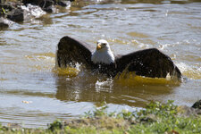 DSLR_KHA_3213.JPG