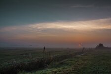 Hammewiesen Sonnenaufgang 2014 (6 von 10).jpg