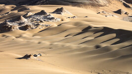 IMG_2222-1.jpg
