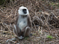 Forum_DSC_2206.jpg