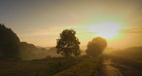 nebel-1.jpg