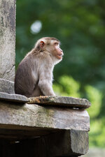 20140816-IMG_0598-b.jpg