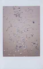 Texel 22_klein.jpg