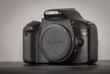 Canon 550 D-8476.jpg