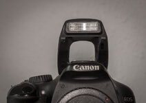 Canon 550 D-8479.jpg