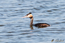 IMG_6638.jpg
