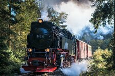 1200kleingerechnet_D8E_1571-1.jpg