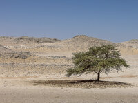 IMG_0405-1.jpg