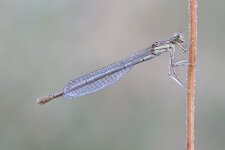 20140831-IMG_1071-b-2.jpg