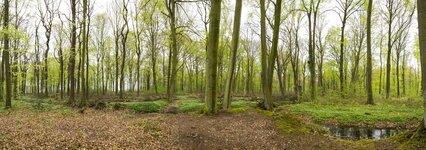 Kurler_Busch_Pano1_small.jpg Kurler_Busch_Pano1_small.jpg