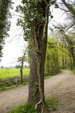 DSC_0081_small.jpg DSC_0081_small.jpg