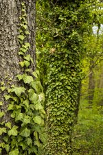 DSC_0075_small.jpg DSC_0075_small.jpg