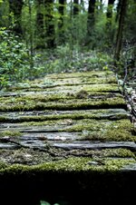 DSC_0047_small.jpg DSC_0047_small.jpg