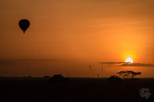 _MG_6016.jpg