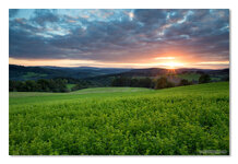 dslr-forum_2014_09_23_4226.jpg dslr-forum_2014_09_23_4226.jpg