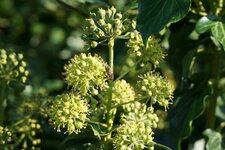 DSC00268-2.jpg