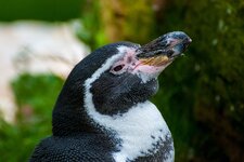 DSC_0945-1.jpg