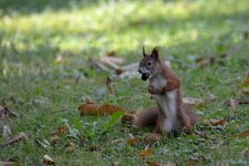comp_DSC_9174.jpg