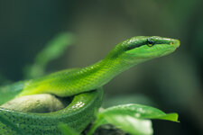 IMG_1613-1.jpg