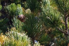 IMG_5521-conv.jpg