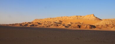 IMG_2004 (1).JPG